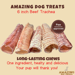  Trachea Dog Chews 