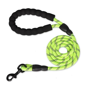 Strong Nylon Dog Leash  