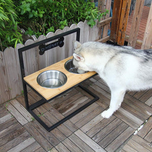 Large Dog Bowls  