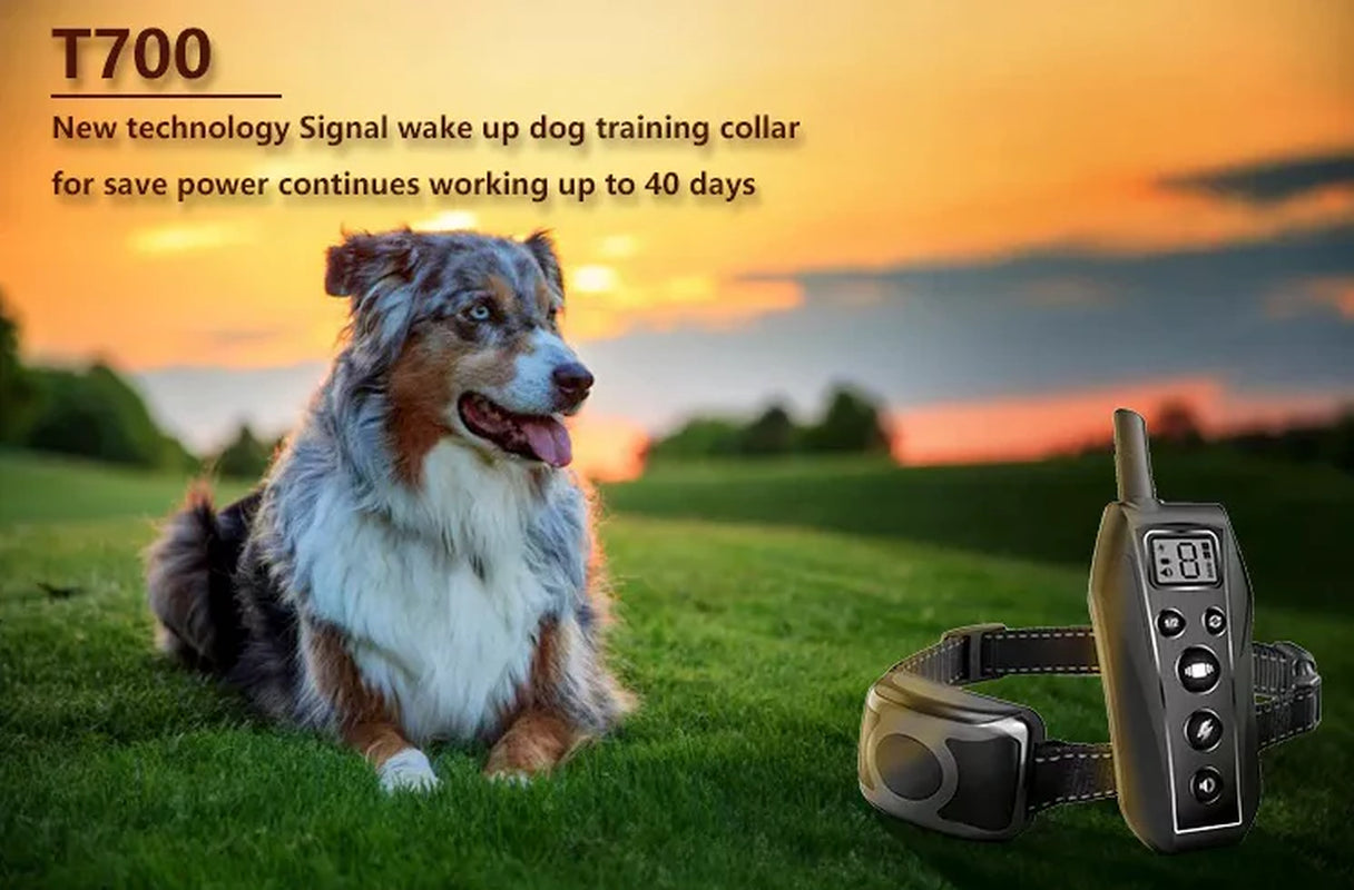 Remote Dog Training Collar  