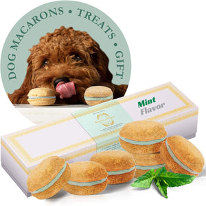  Gourmet Dog Treats  