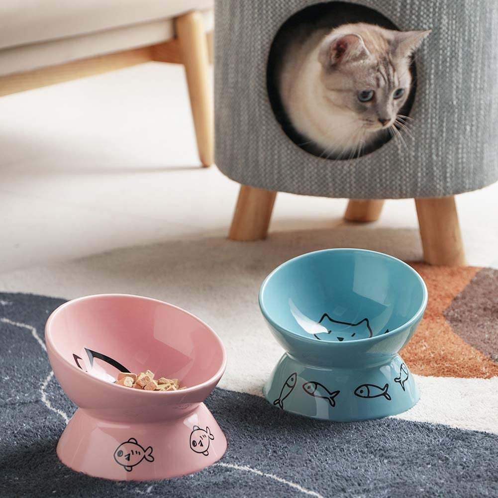 Raised Cat Bowl  