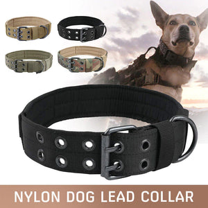 Miitary Dog Collar 