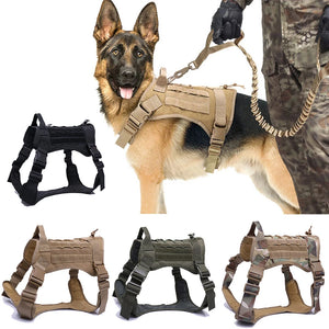 Tactical Dog Harnesses  